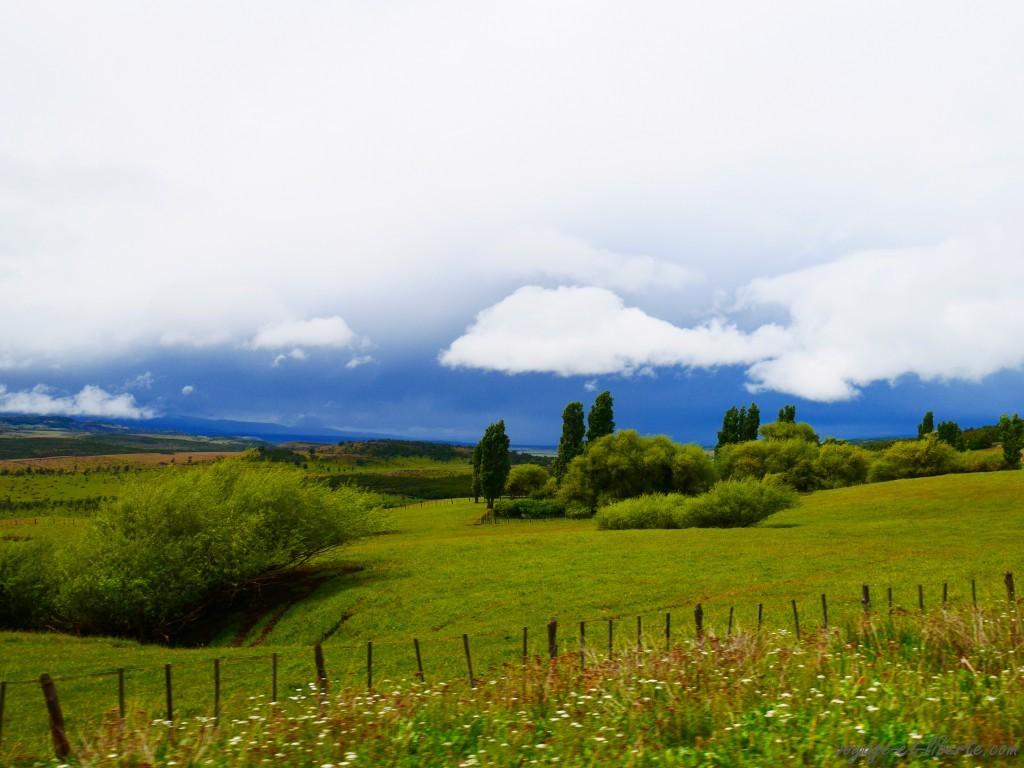 Le genre de pays où tu ne te demandes jamais quelle va être la météo du jour, puisque tu sais qu'il va pleuvoir. Tu ne sais pas à quelle heure, ni pendant combien de temps, mais tu le sais hihi