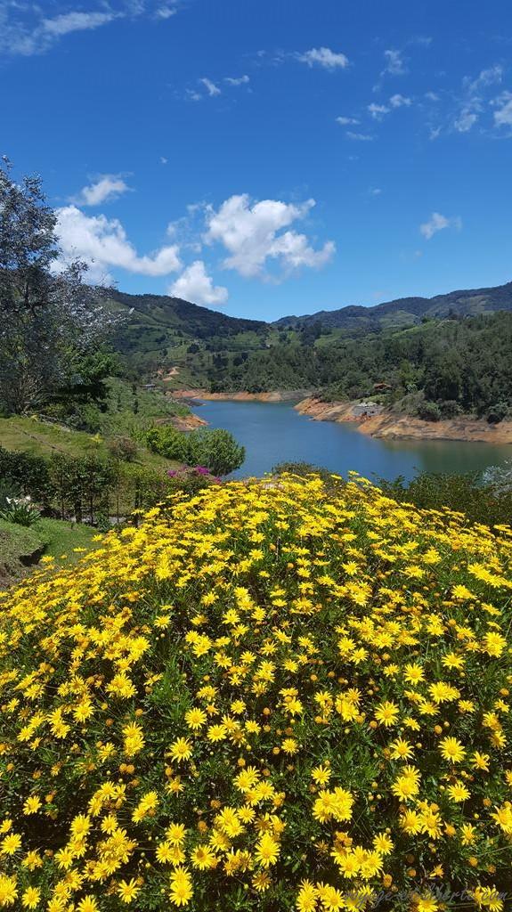 Colombie, Guatapé, guest house, chambre d'hôtes, lac, Peñon