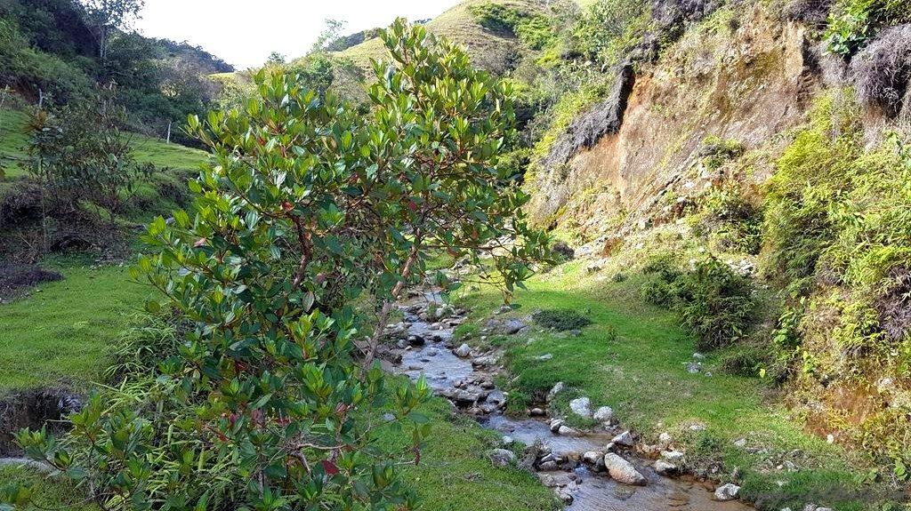 Guatapé