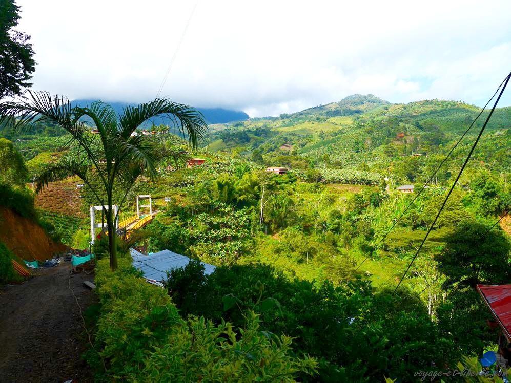 Colombie Jardin