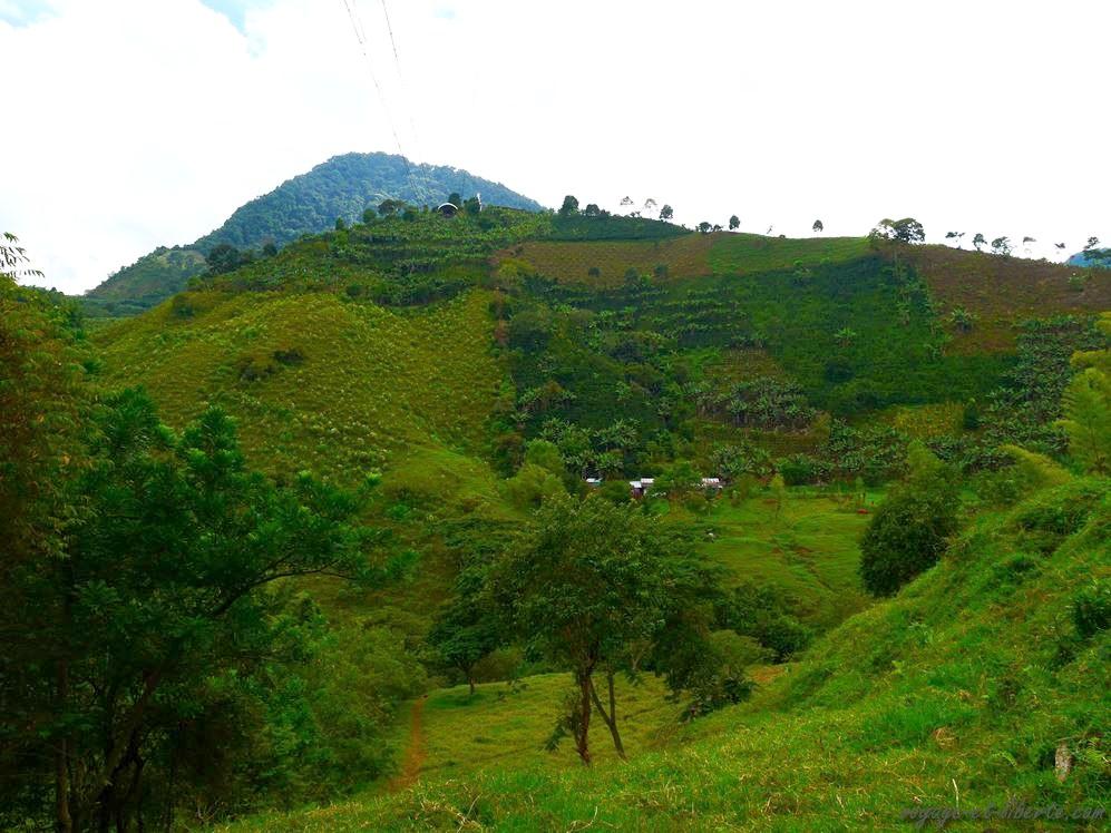 Colombie Jardin