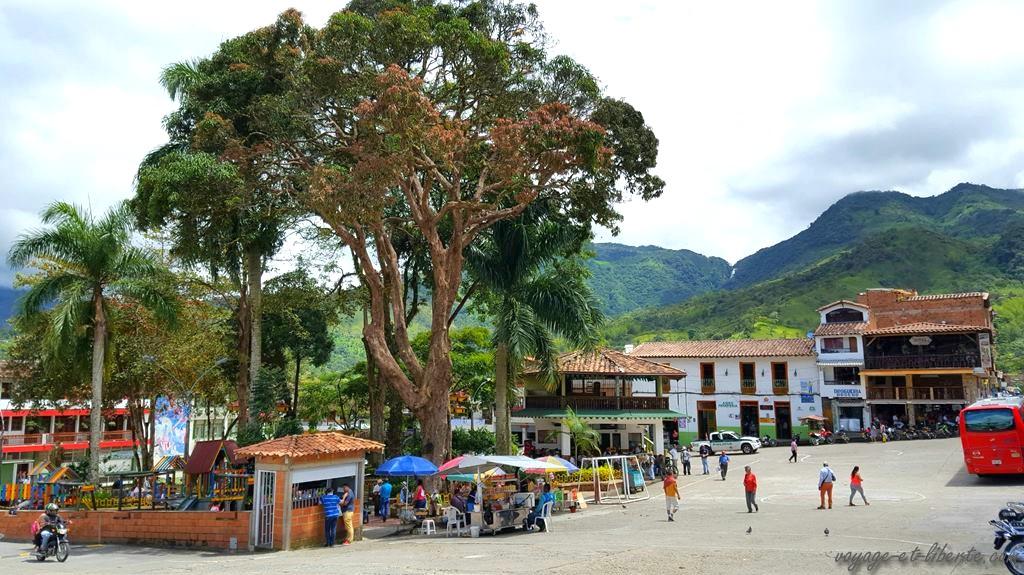 Corcona