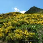 Espagne / Val d'Aran