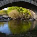 France / Gorges du Tarn