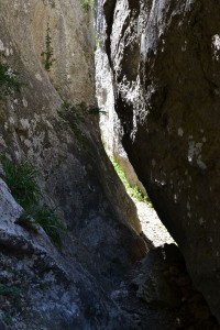 régalon