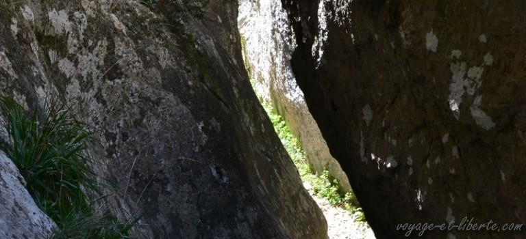 Les préparatifs avancent régalon