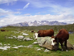 oisans