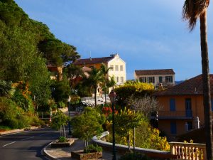 Borme-les-mimosas