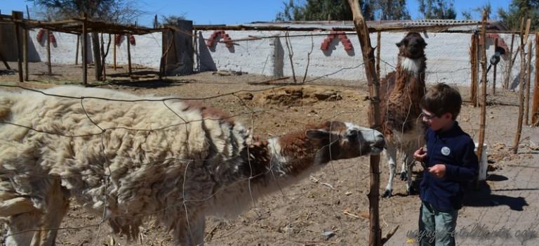 Une semaine formidable !