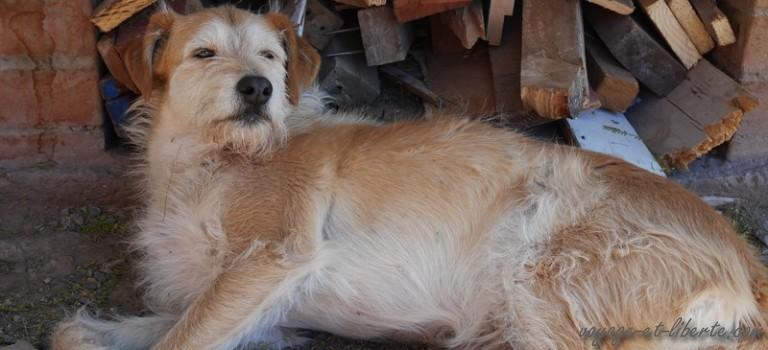 Chili : comment sortir des sentiers battus en tombant (encore) en panne ?