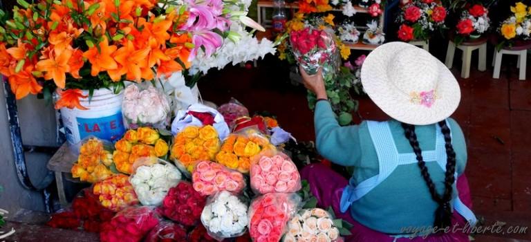 Sucre la délicieuse