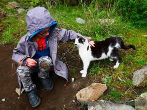 Petit moment de douceur féline