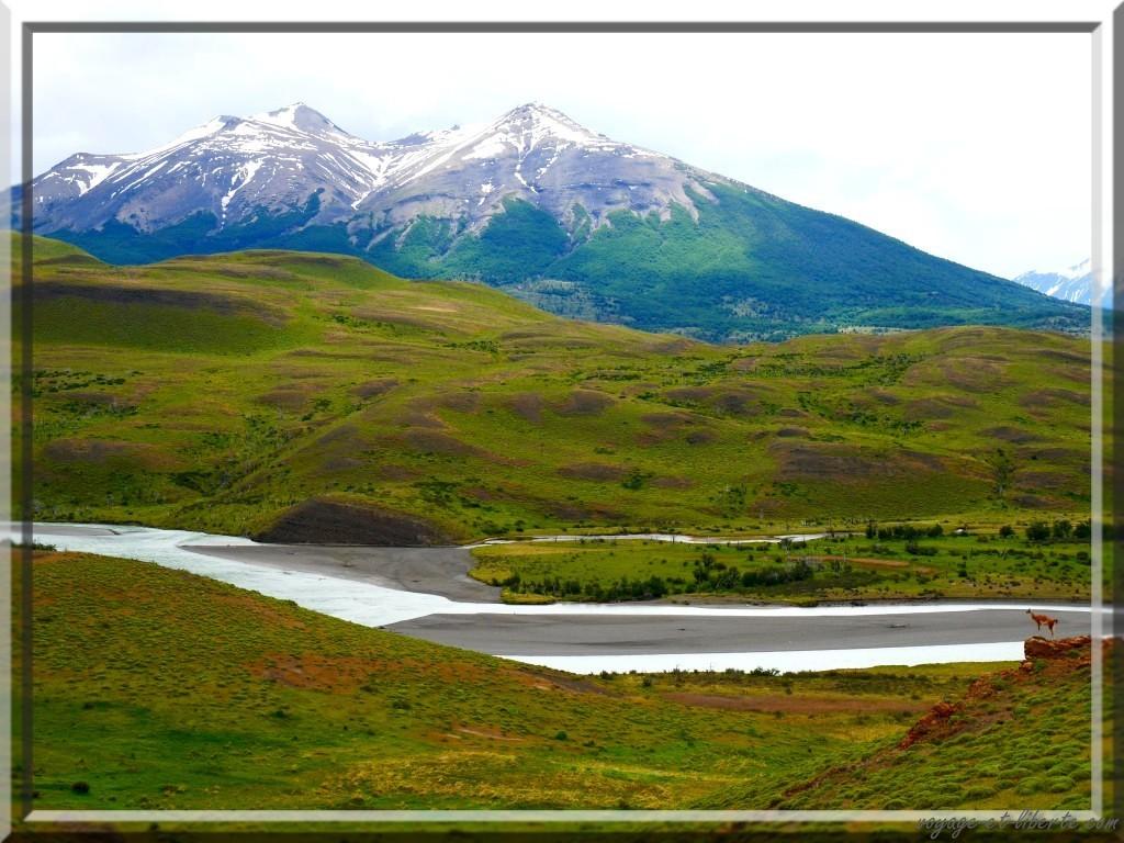 En bas à droite, le guanaco sentinelle