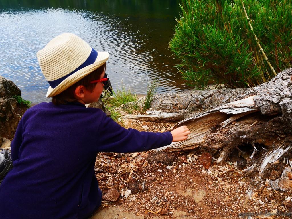 Avec quoi est-ce que je joue ?