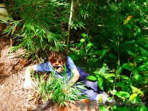 Le champion international des gadins !