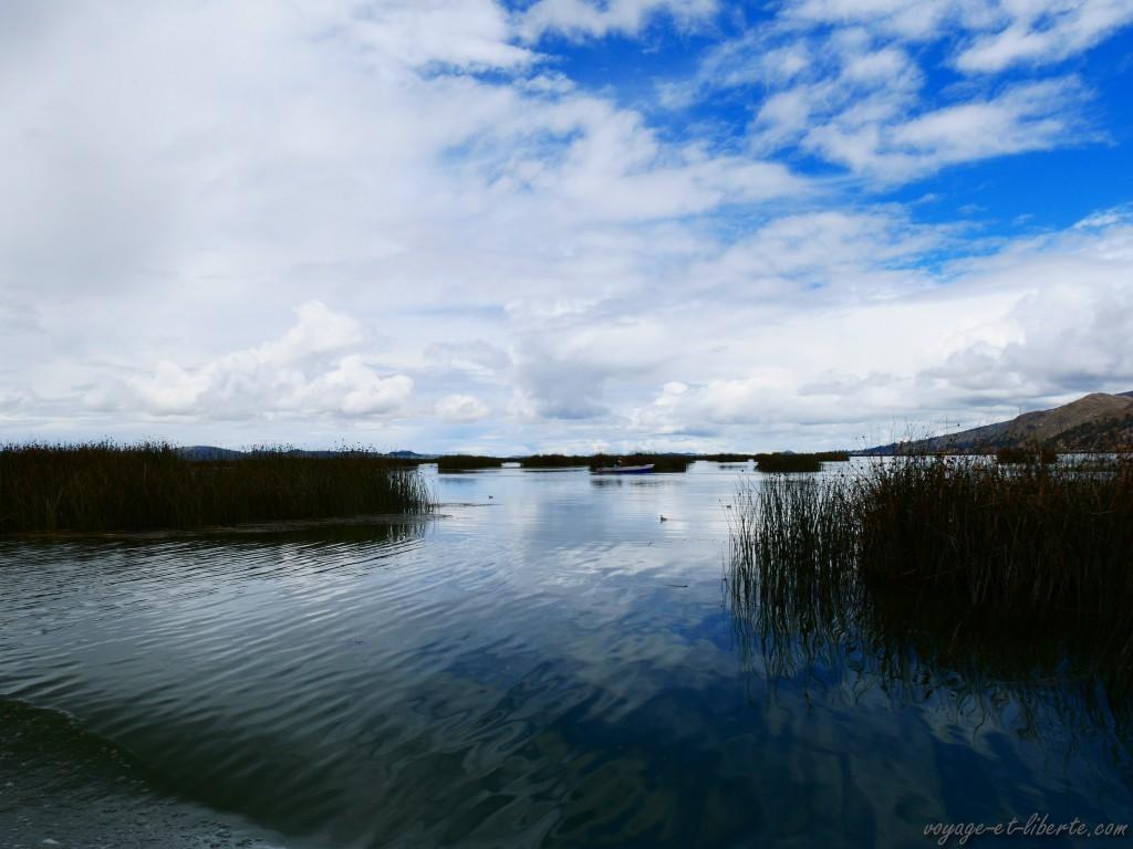"Le" lago et ses joncs