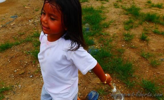 L’Amazonie, a land of confusion ? L’Amazonie, a land of confusion ?