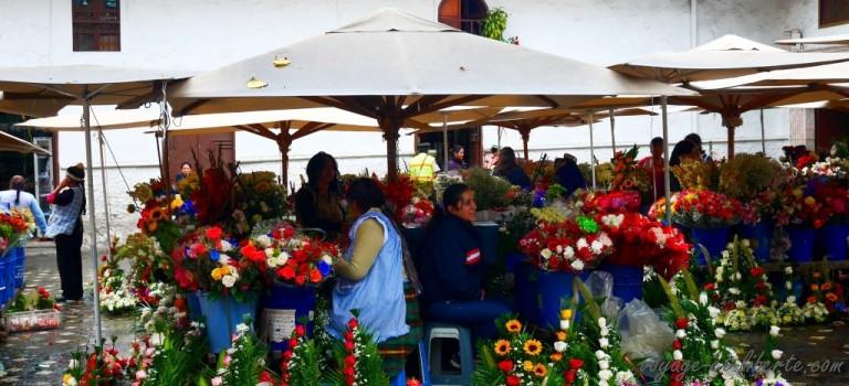 Ecuador ama la vida (y la lluvia) Ecuador ama la vida (y la lluvia)