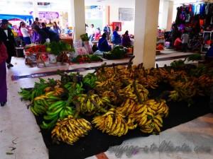 La banane, qu'elle soit plantain ou pas est un aliment de base en Equateur
