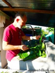 Collecte de plantes par Didier a des fins medicinales
