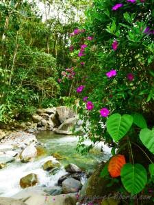 parc Farallones colombie