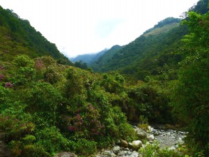 Parc national Farallones