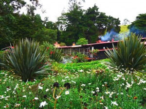 colombie laguna cocha