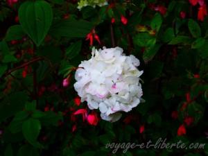 colombie laguna cocha