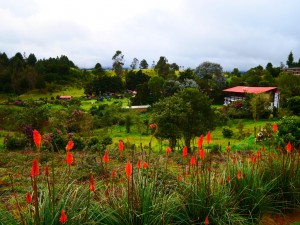 colombie laguna cocha