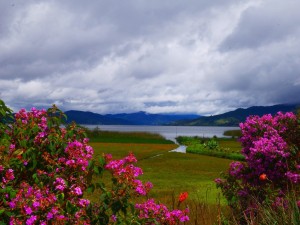 colombie laguna cocha