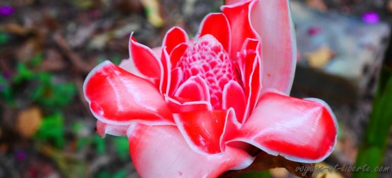 Parc national Farallones