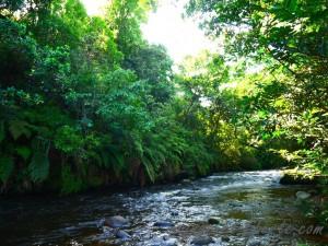 popayan rayos del sol