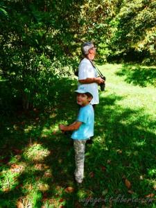 Ne vois-tu rien venir ?