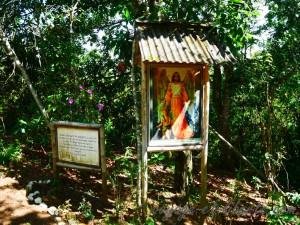 popayan rayos del sol