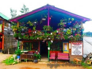 colombie laguna cocha