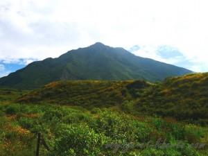 A prime abord, on dirait qu'il fait beau !