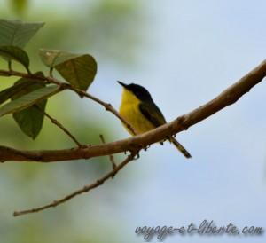 Parc national Farallones