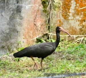 Parc national Farallones