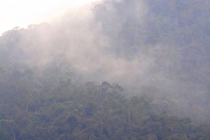 Parc national Farallones
