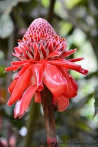 Parc national Farallones