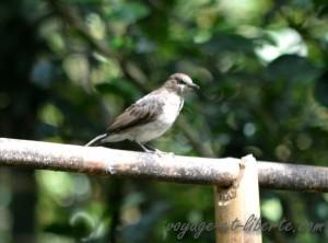 Parc national Farallones