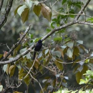 Parc national Farallones