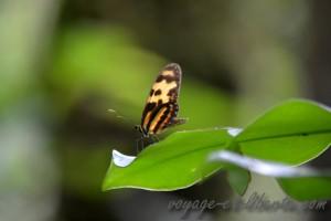 Parc national Farallones