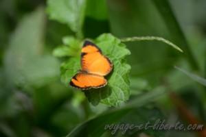 Parc national Farallones