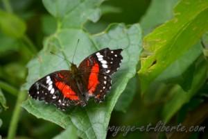 Parc national Farallones