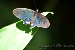 Parc national Farallones