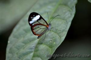 Parc national Farallones