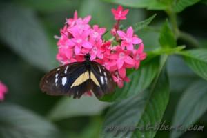 Parc national Farallones