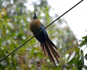colombie Parc national Farallones