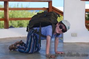 Une carlitus de mallemortus